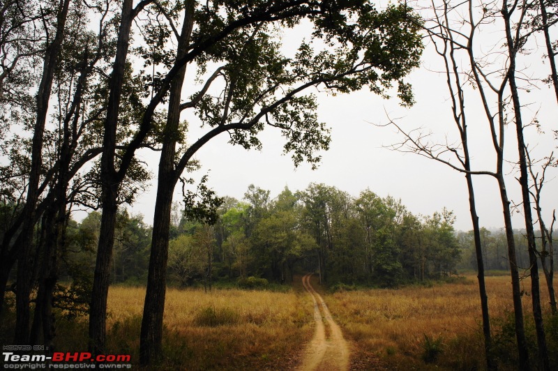 Reflections on Wildlife Addictions "Pench and Kanha National Park"-64.jpg