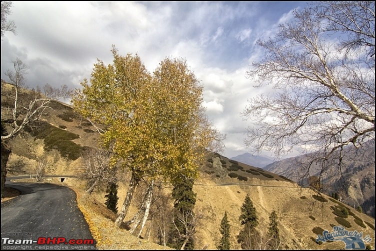 Self-Drive Exploratory Expedition->Zanskar+Unknown Kashmir-> "off-season October 2011-image00031.jpg