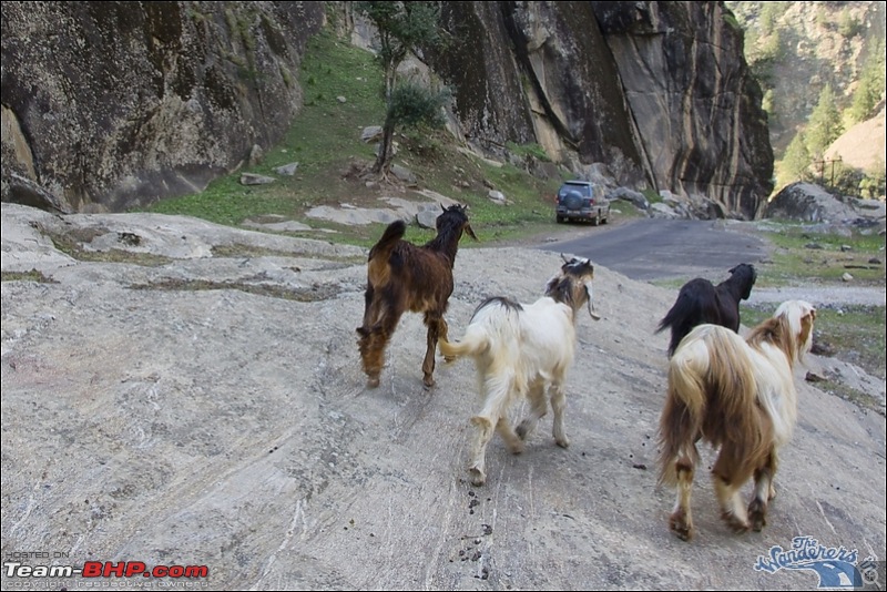 Self-Drive Exploratory Expedition->Zanskar+Unknown Kashmir-> "off-season October 2011-img_7000.jpg