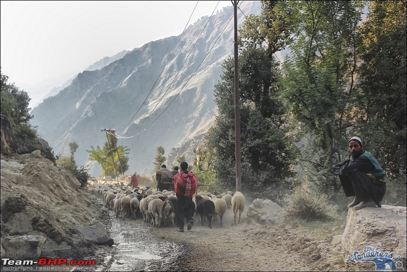 Self-Drive Exploratory Expedition->Zanskar+Unknown Kashmir-> "off-season October 2011-img_7067.jpg
