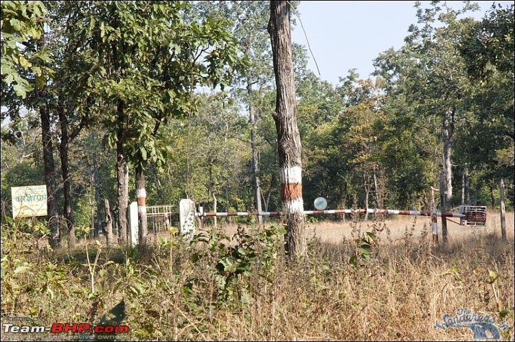 In search of the State Animal of Chhattisgarh - Wild Bufallo a.k.a. Jungly/Von Bhaisa-image00012.jpg