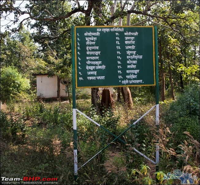 In search of the State Animal of Chhattisgarh - Wild Bufallo a.k.a. Jungly/Von Bhaisa-image00024.jpg