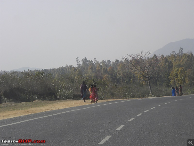 When Bagheera met Shere Khan - Trip To The Heart Of Incredible India-dscn3835.jpg