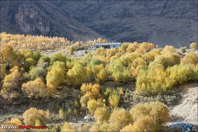 Self-Drive Exploratory Expedition->Zanskar+Unknown Kashmir-> "off-season October 2011-img_7624.jpg