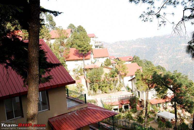 Cold,Nippy,Frosty,Chilly Escapade to Himachal Pradesh !!!!-dsc_5436.jpg