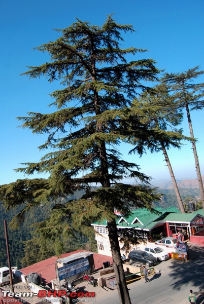 Cold,Nippy,Frosty,Chilly Escapade to Himachal Pradesh !!!!-dsc_5020.jpg