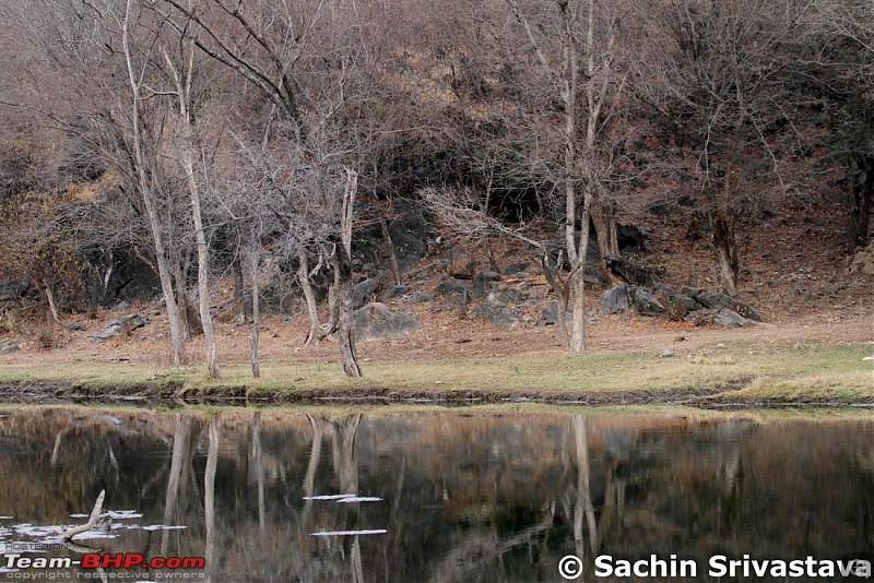 Sariska Tiger Reserve - Land of Tigers? Quick getaway from Gurgaon-img_6576.jpg