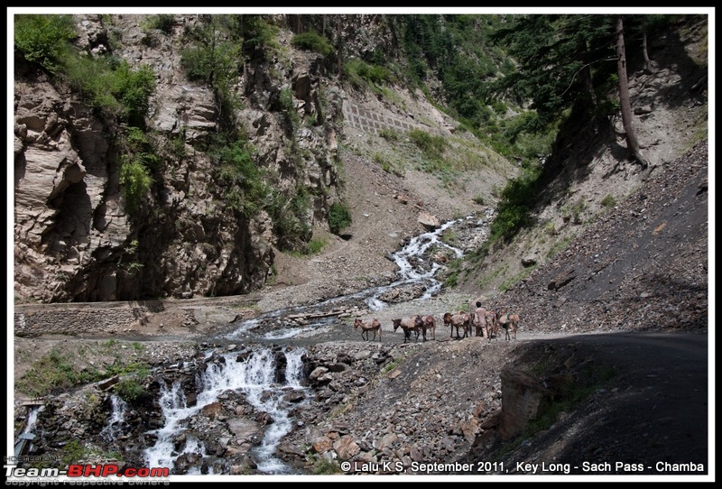 HumbLeh'd II (Indo Polish Himalayan Expedition to Ladakh & Himachal Pradesh)-dsc_4185.jpg