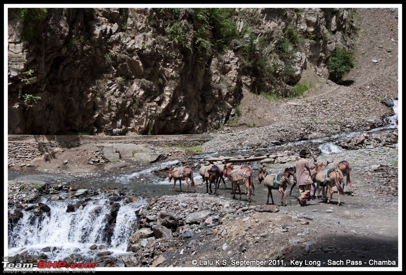 HumbLeh'd II (Indo Polish Himalayan Expedition to Ladakh & Himachal Pradesh)-dsc_4186.jpg