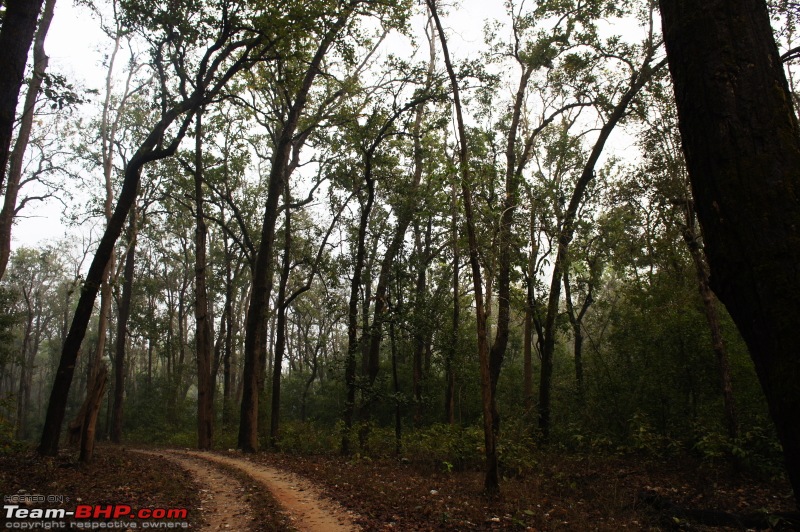 Reflections on Wildlife Addictions "Pench and Kanha National Park"-73.jpg