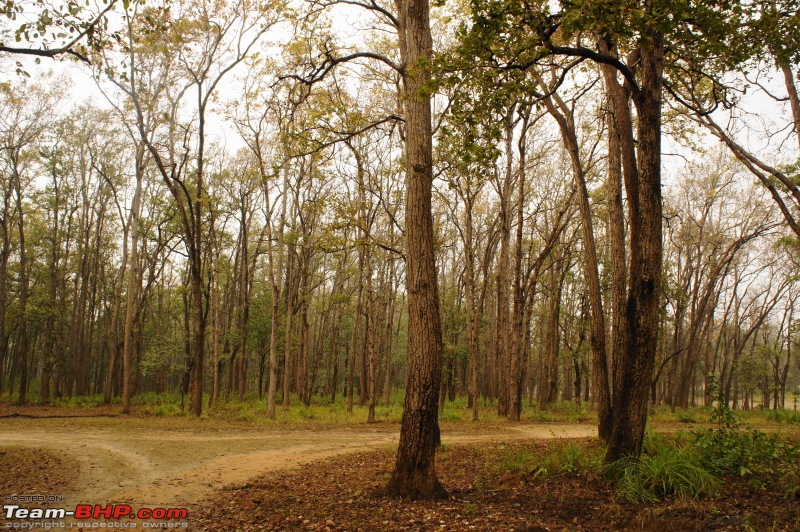 Reflections on Wildlife Addictions "Pench and Kanha National Park"-74.jpg