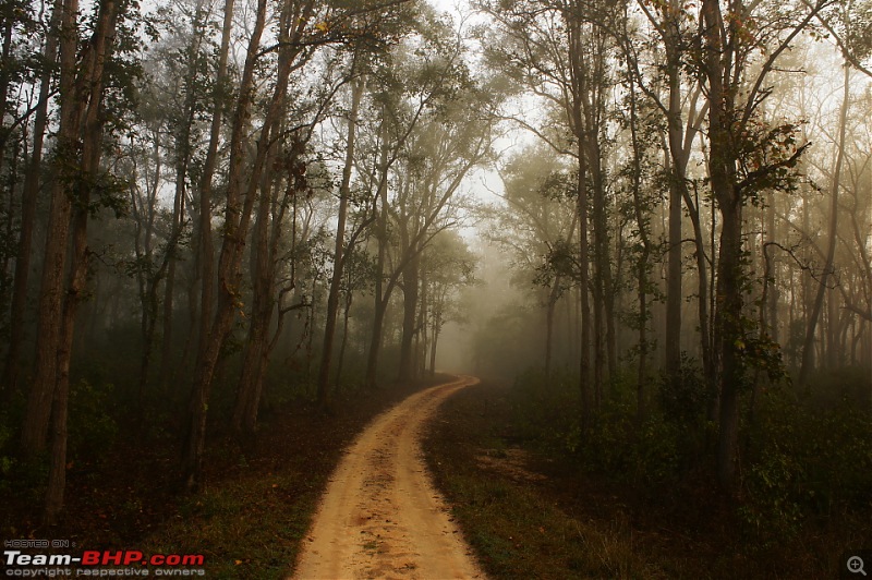 Reflections on Wildlife Addictions "Pench and Kanha National Park"-84.jpg
