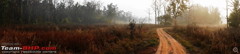 Reflections on Wildlife Addictions "Pench and Kanha National Park"-83.jpg