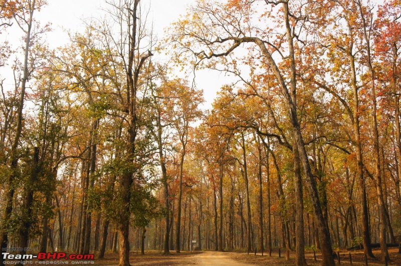 Reflections on Wildlife Addictions "Pench and Kanha National Park"-89.jpg