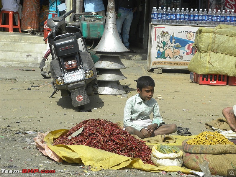 When Bagheera met Shere Khan - Trip To The Heart Of Incredible India-dscn4874.jpg