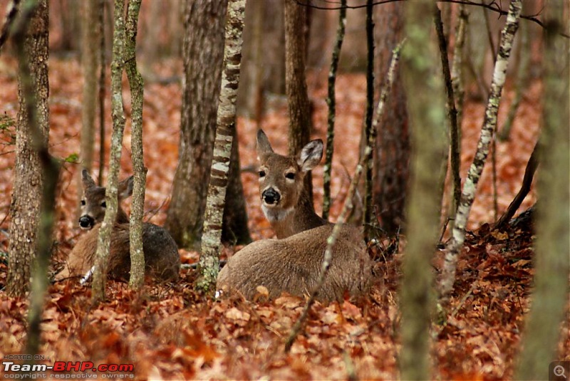 Fall Creek State Park - Tennessee - Photoblog-dsc_0149-large.jpg