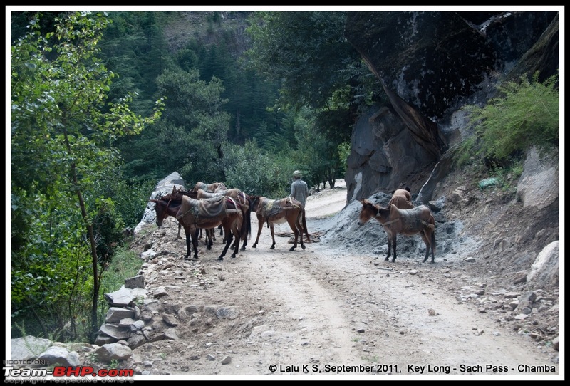 HumbLeh'd II (Indo Polish Himalayan Expedition to Ladakh & Himachal Pradesh)-dsc_4267.jpg