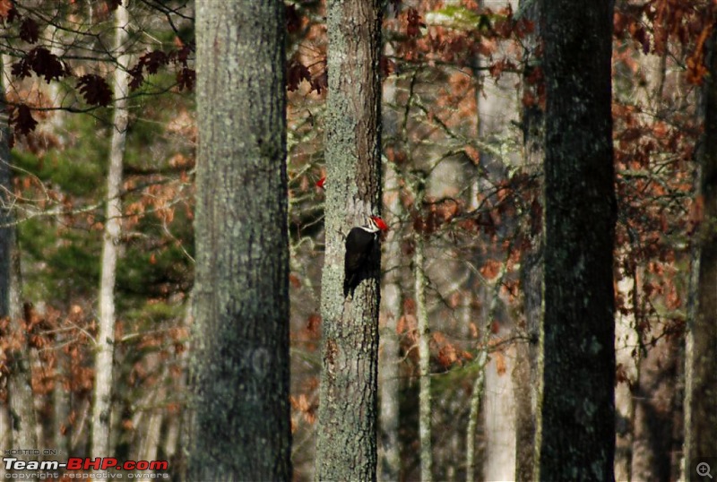 Fall Creek State Park - Tennessee - Photoblog-dsc_0310-large.jpg