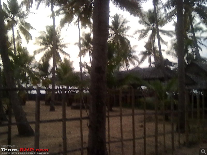 A Sunday afternoon drive to three beaches near Kochi-18032012989.jpg