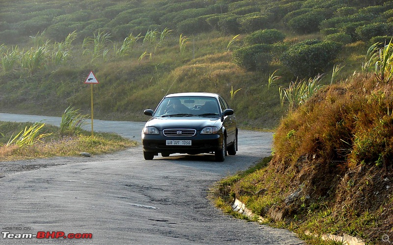 Destination Sandakphu, the Land Rover territory. Update - another trip till Phalut-baleno_peshok.jpg