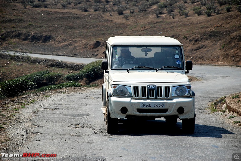 Destination Sandakphu, the Land Rover territory. Update - another trip till Phalut-dsc_4516.jpg