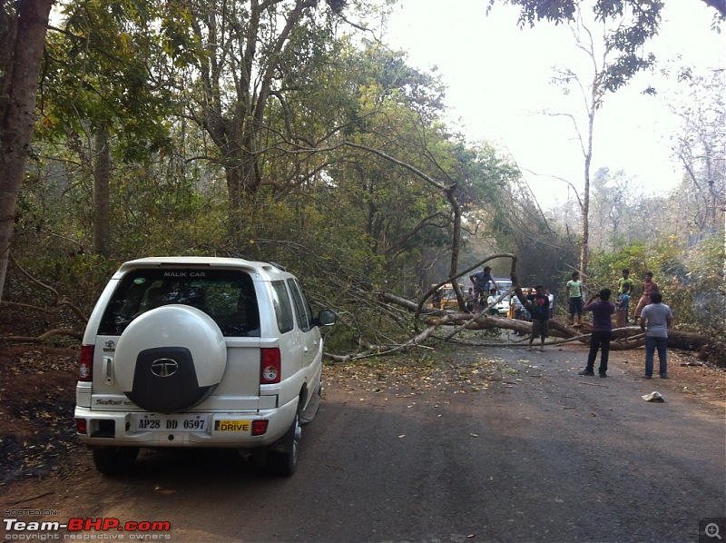 Trip to the Thick Jungles of Maredumilli and Lord Shiva temple of Draksharam-img_2367.jpg