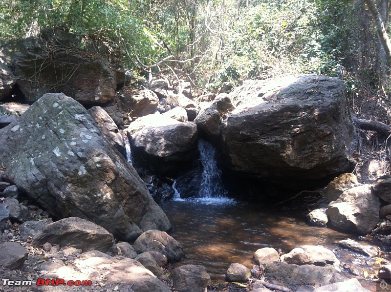 Trip to the Thick Jungles of Maredumilli and Lord Shiva temple of Draksharam-img_2429.jpg