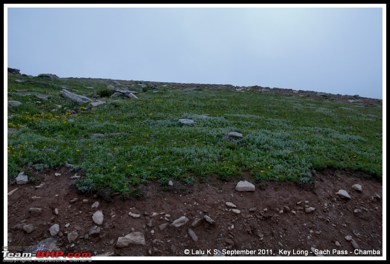 HumbLeh'd II (Indo Polish Himalayan Expedition to Ladakh & Himachal Pradesh)-dsc_4686.jpg