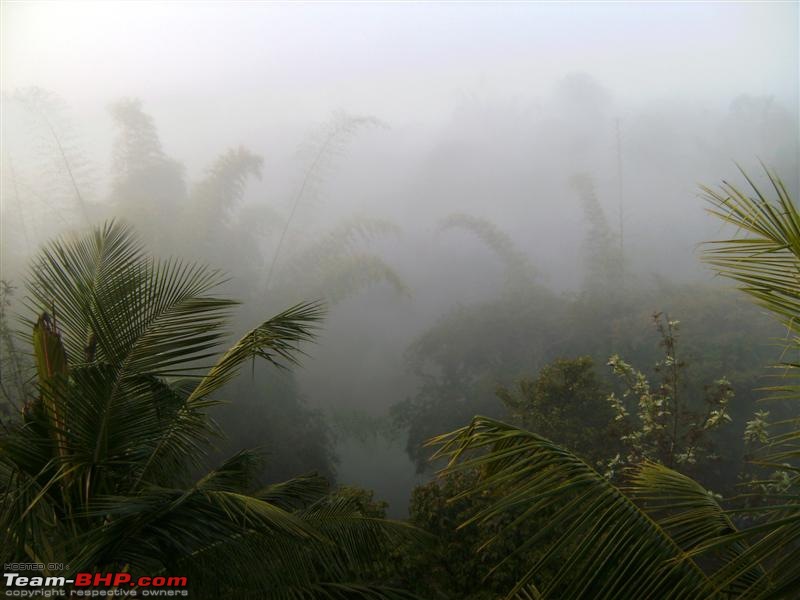 Coorg - A river runs through it !!-foggy-morning.jpg