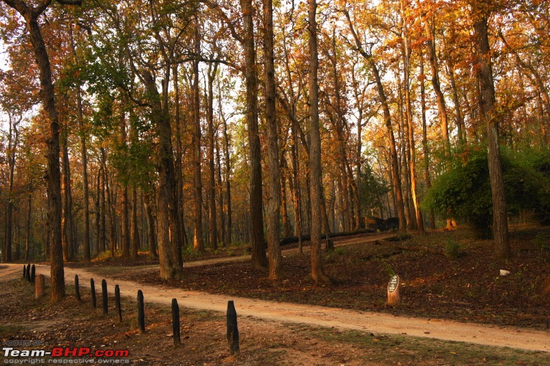 Reflections on Wildlife Addictions "Pench and Kanha National Park"-94.jpg