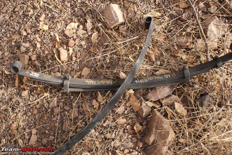 One Lucky Sunday At Ranthambhore- 24/03/12 Trip Report!!-dsc09130.jpg