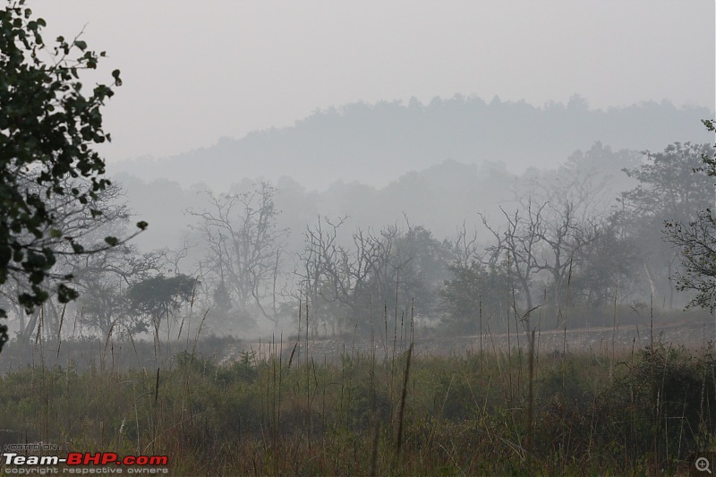 Of Spots, Stars & Stripes - our Corbett Holiday-img_1356.jpg