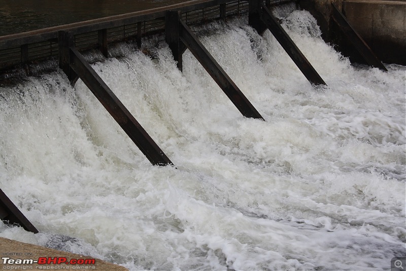 From Chaotic Bangalore to Calm Masinagudi-300dam2.jpg