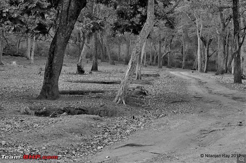 Exploring the Great Indian Outdoors-dsc_2192.jpg