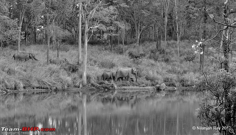 Exploring the Great Indian Outdoors-dsc_2217.jpg