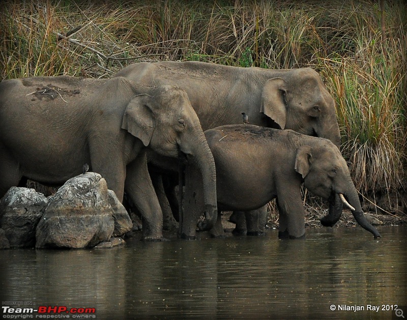 Exploring the Great Indian Outdoors-dsc_2244.jpg