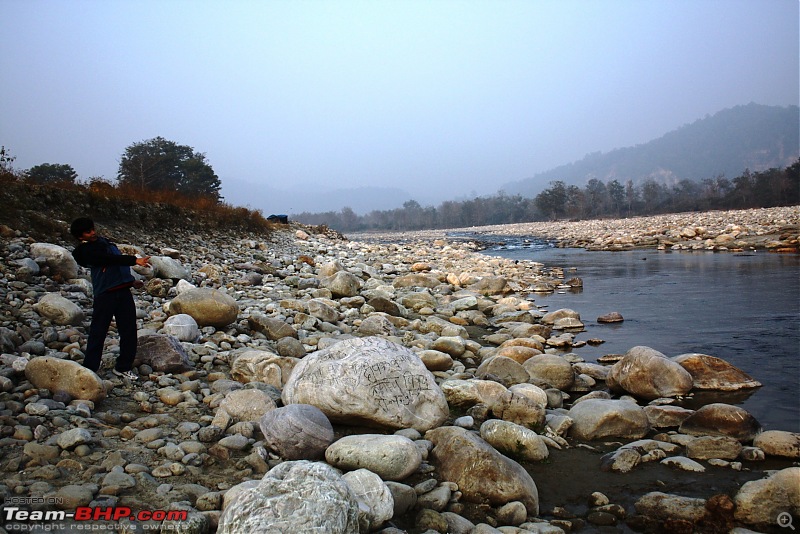 Of Spots, Stars & Stripes - our Corbett Holiday-img_1408.jpg