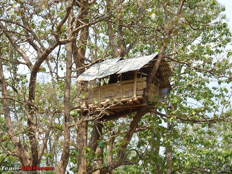 Operation Tiger: Wayanad-p1050014b.jpg