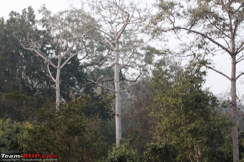 Of Spots, Stars & Stripes - our Corbett Holiday-img_1506.jpg