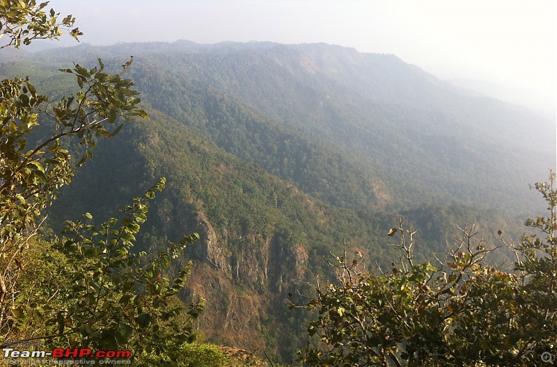 Wayanad - 'Gods Own District' in 'Gods Own Country'!!..-img_1520-copy.jpg