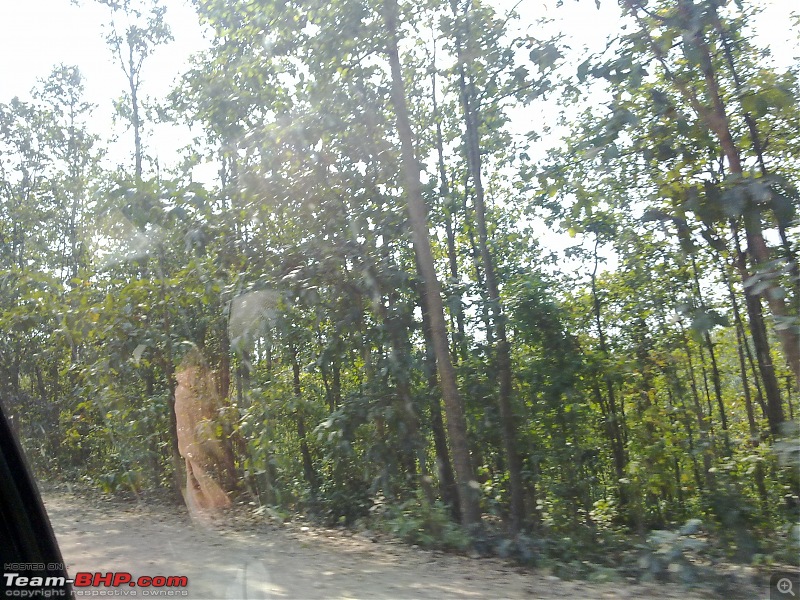 A Trip to Jamshedpur - The Roads Less Traveled-01282012588.jpg
