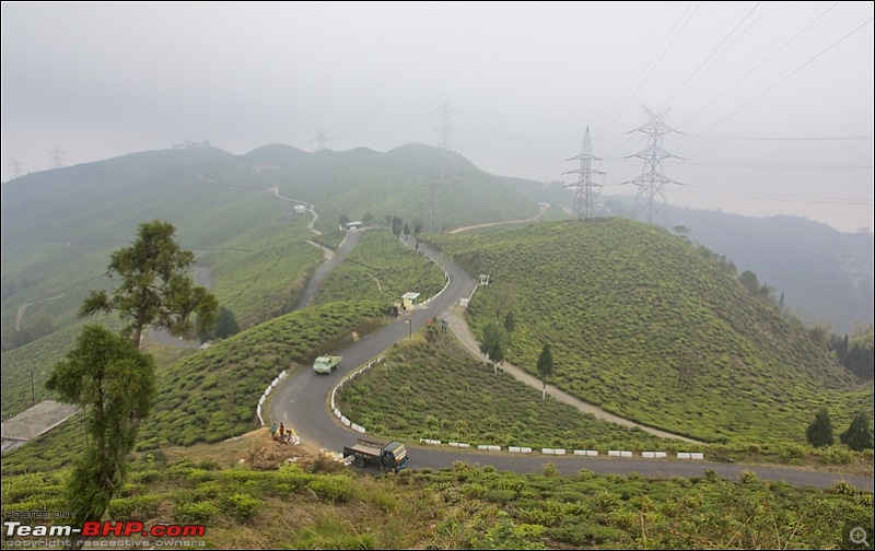 Destination Sandakphu, the Land Rover territory. Update - another trip till Phalut-img_9585.jpg