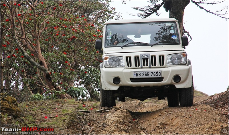 Destination Sandakphu, the Land Rover territory. Update - another trip till Phalut-img_0154.jpg