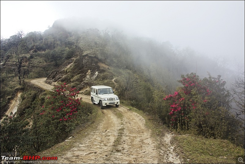 Destination Sandakphu, the Land Rover territory. Update - another trip till Phalut-img_9822.jpg