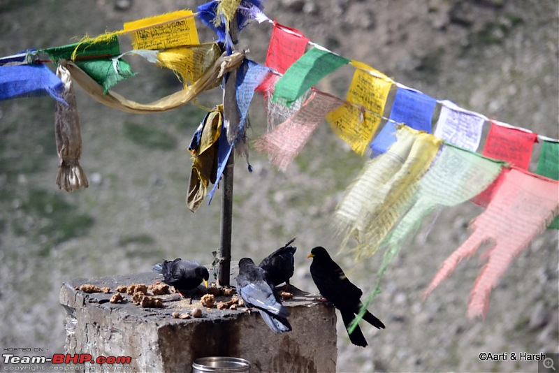 Ladakh & Zanskar: The road(s) less travelled-dsc_1193a.jpg