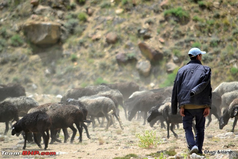 Ladakh & Zanskar: The road(s) less travelled-dsc_1258a.jpg