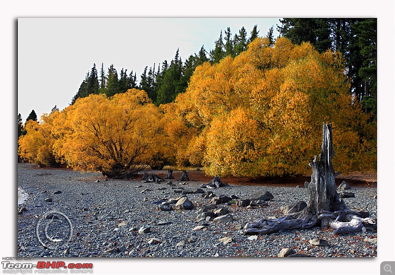 Kia Ora! New Zealand- A 3000 kms driving holiday-17.jpg