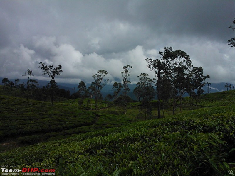 Exploring the Anaimalai Rain forests around Valparai-wp_000130.jpg