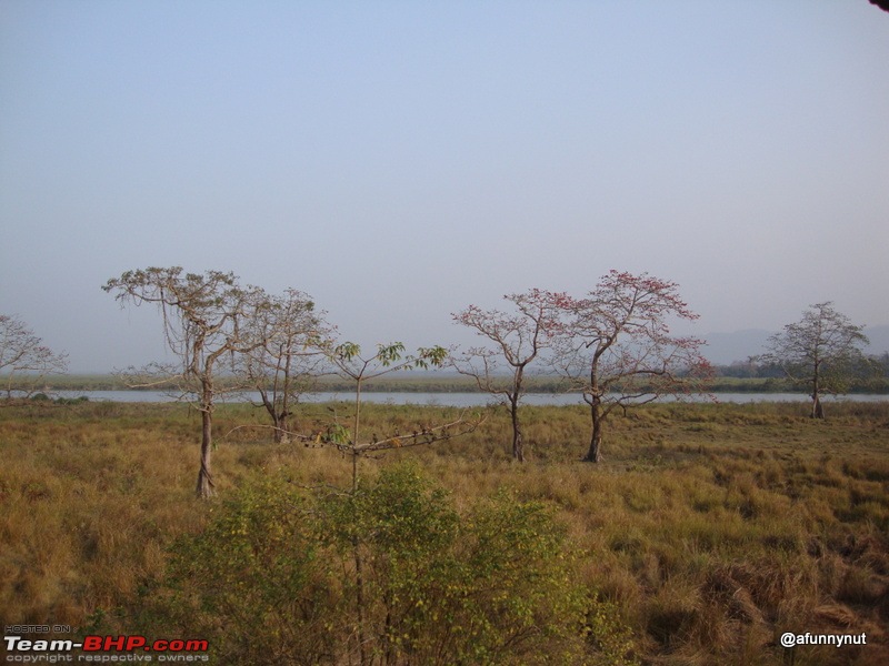 Guwahati - Kaziranga - Shillong trip-046dsc01755.jpg