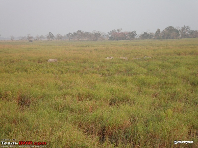 Guwahati - Kaziranga - Shillong trip-054dsc01764.jpg